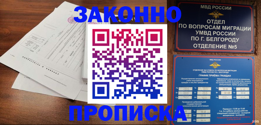 прописка в Нелидово